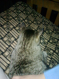 Photo0274